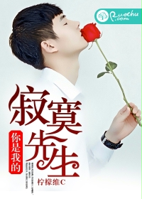你是我的寂寞先生